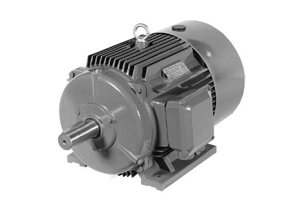 YE2系列低壓鑄鐵高效三相異步感應(yīng)電動機