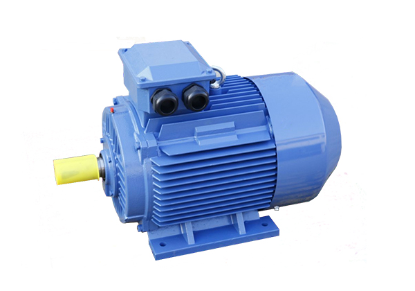 YE2系列低壓鑄鐵高效三相異步感應(yīng)電動機