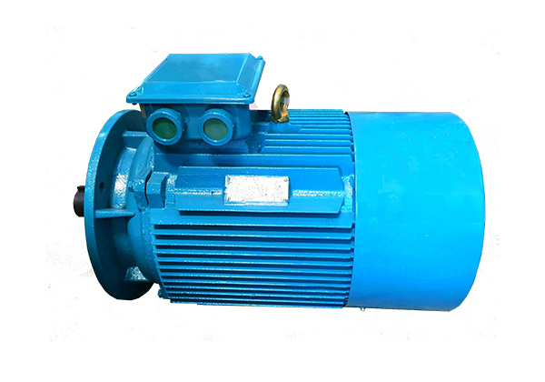 YE2系列低壓鑄鐵高效三相異步感應(yīng)電動機