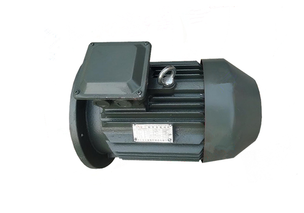 YE2系列低壓鑄鐵高效三相異步感應(yīng)電動機