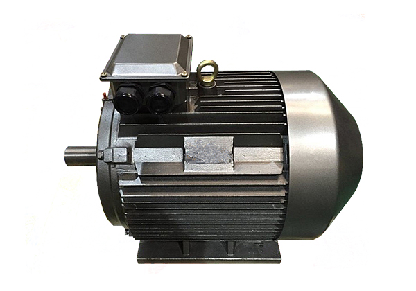 YE2系列低壓鑄鐵高效三相異步感應(yīng)電動機