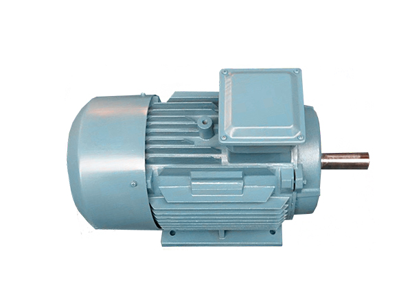 YE2系列低壓鑄鐵高效三相異步感應(yīng)電動機