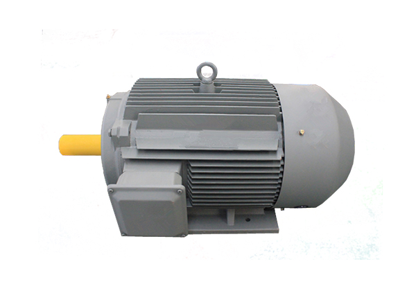 YE2系列低壓鑄鐵高效三相異步感應(yīng)電動機