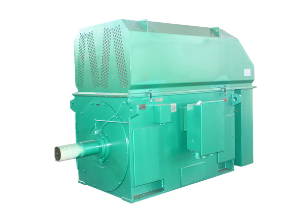 YRKK系列高壓三相異步繞線型轉(zhuǎn)子滑環(huán)式電動(dòng)機(jī)